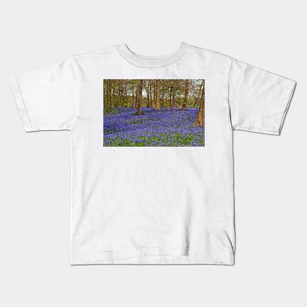 Bluebell Woods Greys Court Oxfordshire UK Kids T-Shirt by AndyEvansPhotos